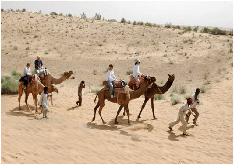 Camel riding experience in Camel Country –Bikaner