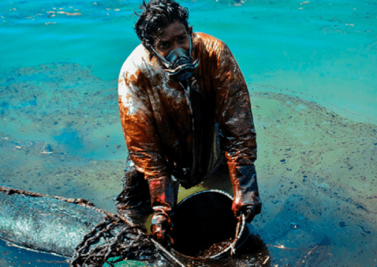 Dr Jay Feldman Impact On Health Caused By Environmental Pollution