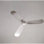 Ceiling Fans