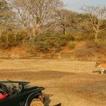 Golden Triangle Tour with Ranthambhore Tiger Safari