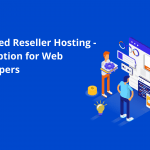 Why Web Developers Should Consider Managed Reseller Hosting