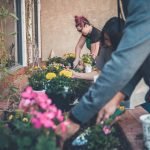 How To Get Started With Gardening